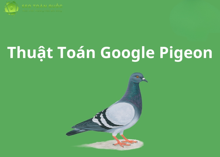 Google Pigeon là gì (4)