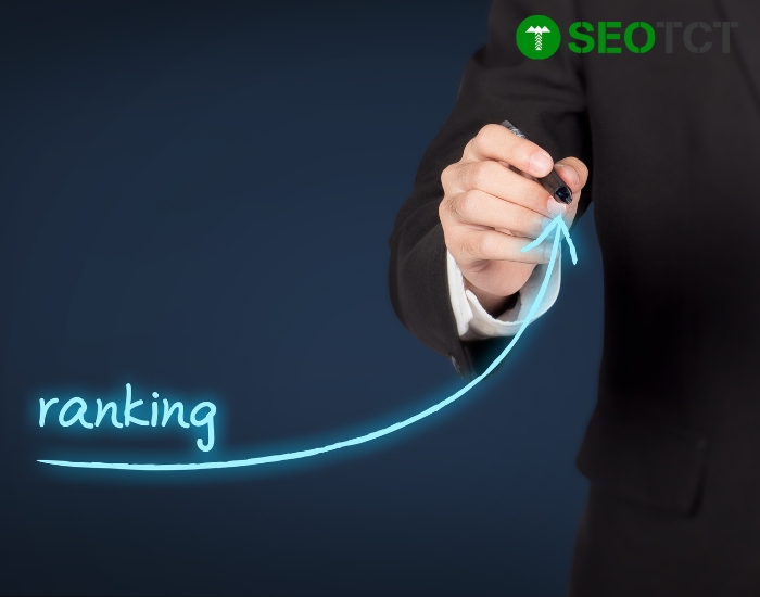 Các loại dịch vụ SEO phổ biến tại Cần Thơ
