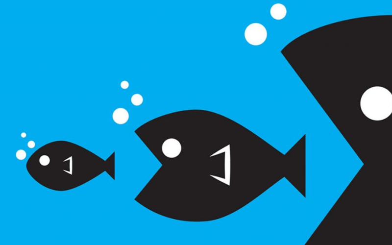 keyword cannibalization (2) keyword cannibalization (2)