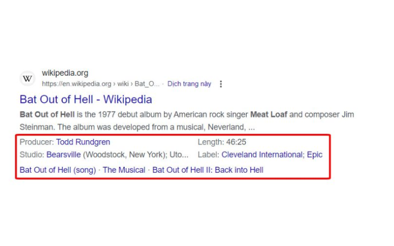 rich snippets (9) rich snippets (9)